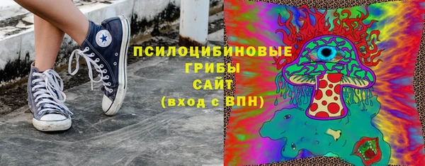 соль курить ск Верхний Тагил