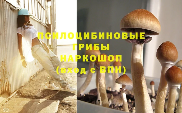 ALPHA PVP Верея
